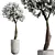 Chic Cherry Blossom Tree Planter 3D model small image 3