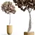 Chic Cherry Blossom Tree Planter 3D model small image 4