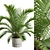 Exotic Sago Palm Ornamental Plant 3D model small image 2