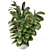 Rustic Indoor Plants Set 2433 3D model small image 2