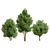 Low Poly Salix Alba Tree Pack 3D model small image 1