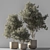 790 Olive Indoor Plant 3D model small image 1