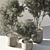 790 Olive Indoor Plant 3D model small image 2