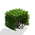 Picea Abies Hedge Assortment 3D model small image 3