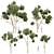 High-Quality Eucalyptus Tree Model 3D model small image 1