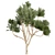 High-Quality Eucalyptus Tree Model 3D model small image 2