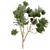 High-Quality Eucalyptus Tree Model 3D model small image 3