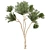 High-Quality Eucalyptus Tree Model 3D model small image 4