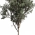 Russian Fig Tree Set 338 3D model small image 3
