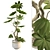 3D Plant & Decor Collection 3D model small image 1