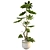 3D Plant & Decor Collection 3D model small image 2