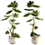 3D Plant & Decor Collection 3D model small image 3