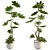 3D Plant & Decor Collection 3D model small image 4