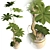 3D Plant & Decor Collection 3D model small image 5