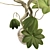 3D Plant & Decor Collection 3D model small image 6