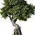 Zen Bonsai Tree Set 3D model small image 2