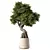 Zen Bonsai Tree Set 3D model small image 3