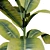 Modern Fiddle Leaf Fig Plant 3D model small image 2