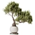 Variety Indoor Plant Set 3D 3D model small image 2