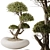 Variety Indoor Plant Set 3D 3D model small image 3