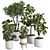 Modern Indoor Plant 3D Model 3D model small image 1