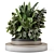 Outdoor Bush and Tree Set 3D model small image 5