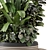 Outdoor Bush and Tree Set 3D model small image 3