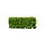 Realistic Boxwood 3D Model 3D model small image 4