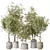 4K Indoor Plant 3D Models 3D model small image 1