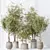 4K Indoor Plant 3D Models 3D model small image 5