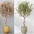 4K Indoor Plant 3D Models 3D model small image 6