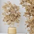 4K Indoor Plant 3D Models 3D model small image 7