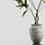 Modern Branches in Elegant Vases 3D model small image 2