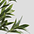 Modern Branches in Elegant Vases 3D model small image 3