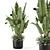 Modern Indoor Plants Set 2448 3D model small image 1