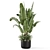 Modern Indoor Plants Set 2448 3D model small image 4