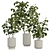 2015 Indoor Plant 535 3D Model 3D model small image 1