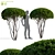 Multi-Stem Taxus 3D Model 3D model small image 7