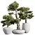 Elegant Olive Tree Trio Set 3D model small image 1