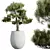 Elegant Olive Tree Trio Set 3D model small image 2