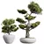 Elegant Olive Tree Trio Set 3D model small image 3