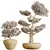 Elegant Olive Tree Trio Set 3D model small image 4